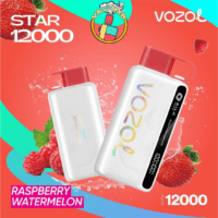 Vozol Star 12000 Puffs disposable vape with 12,000 puffs, various flavors, and sleek design – Best disposable vape in Dubai.