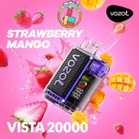 Vozol Vista 20000 Puffs – Best Disposable Vape in Dubai with 20,000 Puffs