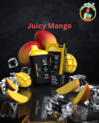 BLVK Bar 20000 Puffs disposable vape in Dubai – best long-lasting vape with 15 flavours