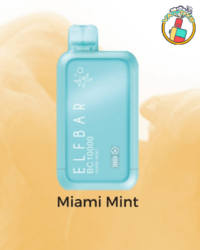 Elf Bar BC 10000 Puffs Rechargeable Disposable Vape Available in Dubai