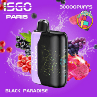 ISGO Paris 30000 Puffs Rechargeable Vape in Dubai