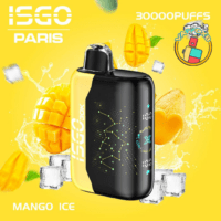 ISGO Paris 30000 Puffs Rechargeable Vape in Dubai