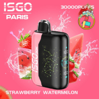 ISGO Paris 30000 Puffs Rechargeable Vape in Dubai