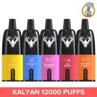 Kalyan 12000 Puffs Disposable Vape