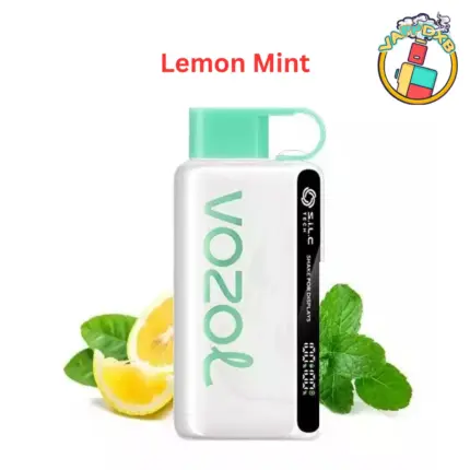 Vozol Star 12000 Puffs disposable vape with 12,000 puffs, various flavors, and sleek design – Best disposable vape in Dubai.