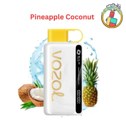 Vozol Star 12000 Puffs disposable vape with 12,000 puffs, various flavors, and sleek design – Best disposable vape in Dubai.