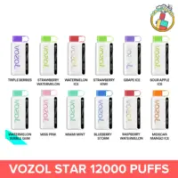 Vozol Star 12000 Puffs disposable vape with 12,000 puffs, various flavors, and sleek design – Best disposable vape in Dubai.