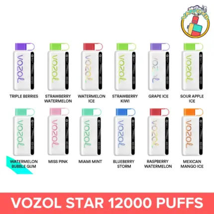 Vozol Star 12000 Puffs disposable vape with 12,000 puffs, various flavors, and sleek design – Best disposable vape in Dubai.